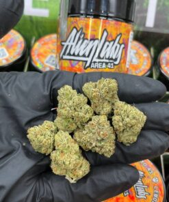 Alien Labs 8ths jars cannabis flower